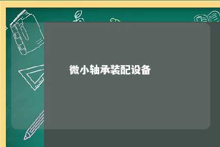 微小轴承装配设备 